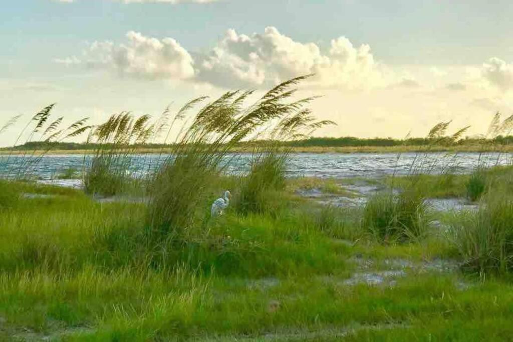St Pete Vacation Apartment
